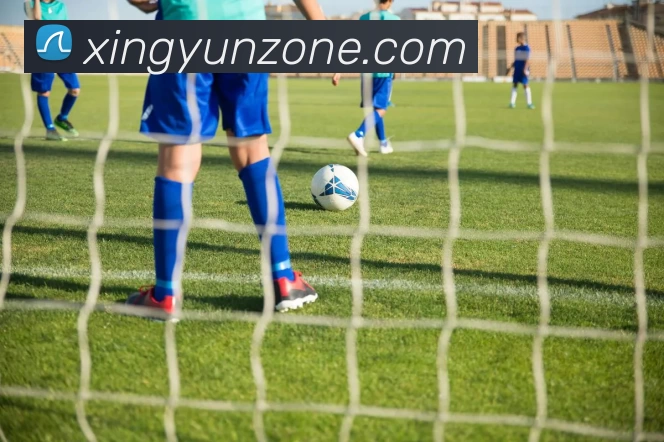 杏运体育专区APP 封面图